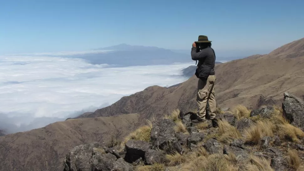 IMPACTANTE. Los Alisos muestra a Tucumán desde arriba. GENTILEZA PARQUE NACIONAL LOS ALISOS