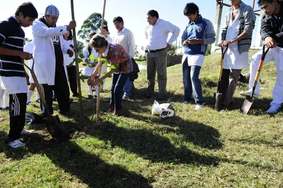 CONCIENCIA. Alumnos de la Escuela Media de Los Nogales parquizaron un playón deportivo. Ahora ellos están a cargo del cuidado de los árboles.  LA GACETA / FOTO DE JORGE OLMOS SGROSSO 