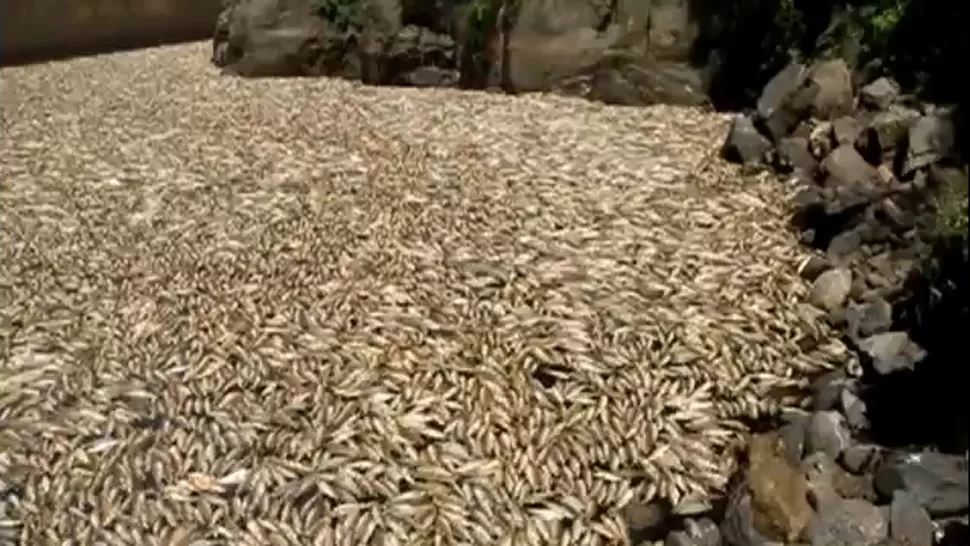 TREMENDO. Esta es la imagen que muestra hoy el Marapa. CAPTURA DE VIDEO