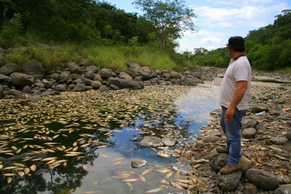 CEMENTERIO. Los pescadores que frecuentan la zona opinan que todo podría haberse evitado si los cortes se hubieran hecho de manera gradual. GENTILEZA HECTOR GALLO