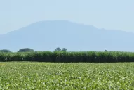 Momento difícil para las economías regionales