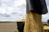 En los campos hay más incertidumbre que certeza