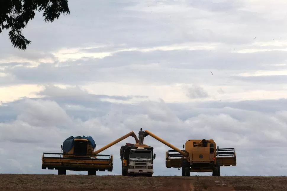 PROYECCIONES. Agricultura prevé buenos rindes, que se estarían verificando en el corazón del área sojera argentina. Distinto es el caso del nivel de productividad en el norte del país. REUTERS