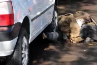 La Justicia detectó una nueva víctima del temporal en La Plata