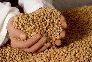 Garantizan a Moreno una fuerte liquidación de divisas