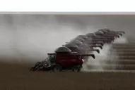 La producción de soja reportaría unos U$S 26.000 millones a la economía