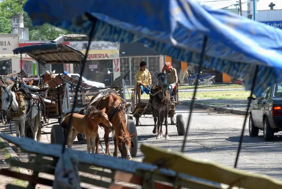 MEDIO DE MOVILIDAD. Habría unos 3.000 carros circulando en la ciudad. LA GACETA / FOTO DE FRANCO VERA