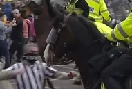 Hincha inglés trompeó a un caballo de la Policía