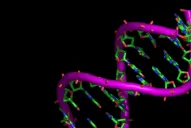 Debaten si se pueden patentar partes del ADN