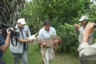 Fue a pasear a un country, la rescataron y volvió a la Sierra de San Javier