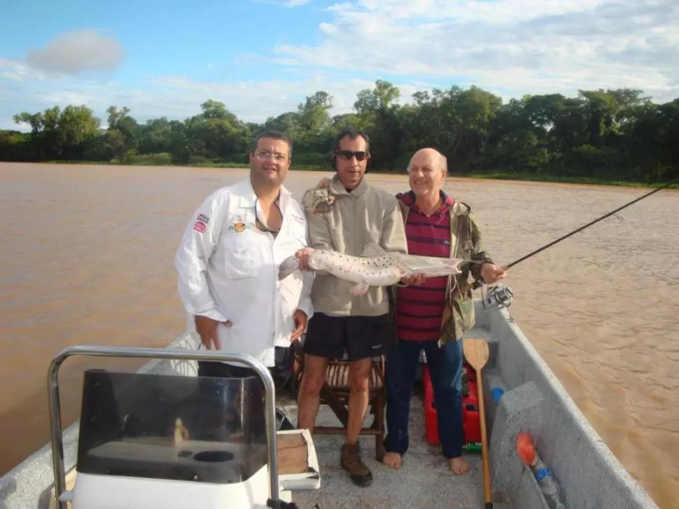 UNA DE LAS TANTAS CAPTURAS. Ricardo Ruarte y el surubí que capturó en el Paraná. La mayoría de las piezas de la especie fueron devueltas porque no tenían el tamaño reglamentario.  