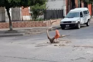 Con un tronco advierten que en el medio de la calle hay un cráter
