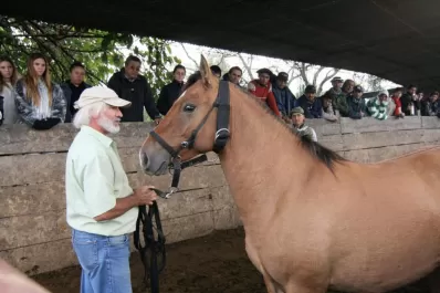 Hardoy mostró su técnica de Doma Racional