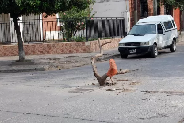 Con un tronco advierten que en el medio de la calle hay un cráter