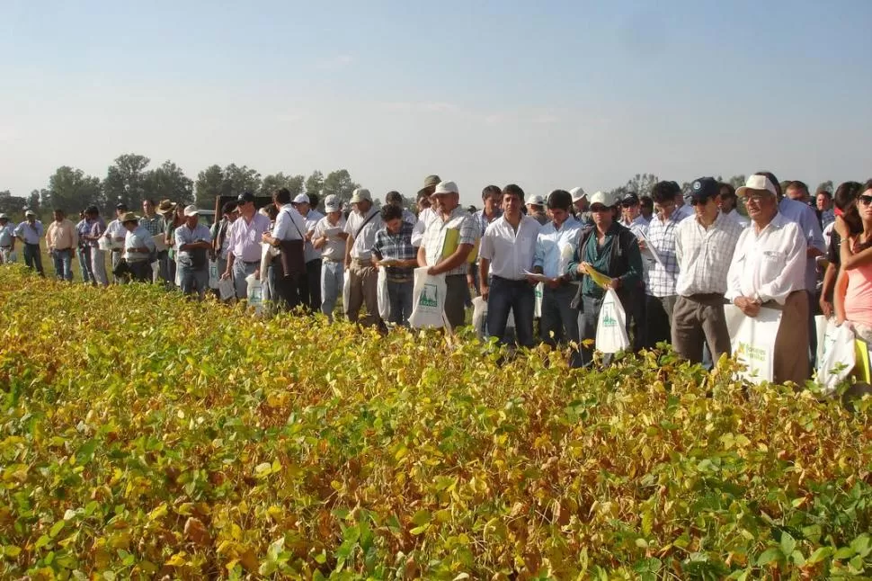 APRENDIZAJE. Los asistentes tomaron nota de las conclusiones presentadas, pero también intercambiaron experiencias sobre las vivencias en sus campos. GENTILEZA EEAOC