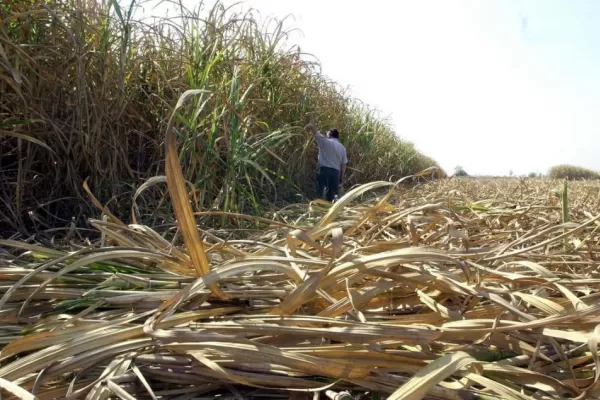 La emergencia debe venir con plata para el productor