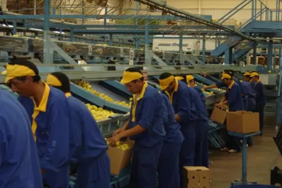 El objetivo es certificar productos agrícolas en todo el mundo