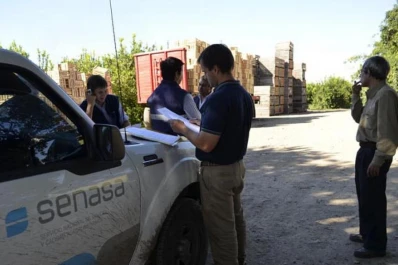 Detectan 77.000 kg de limones cuyo origen no fue justificado