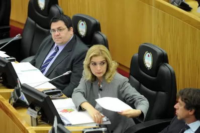 La UCR indaga a García por haber votado con el PJ