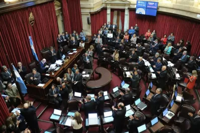 La polémica se instalará en el Senado