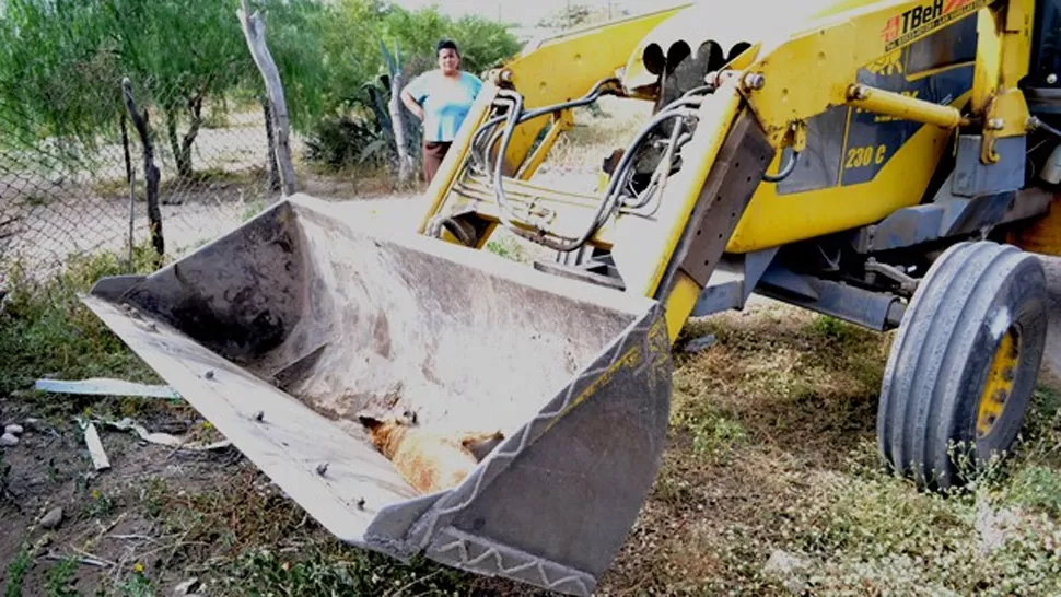 FUERTE TOXICO. Un funcionario aseguró que las moscas que se posaban sobre los restos morían en el acto. FOTO TOMADA DE NOTICIASDEDEANFUNES.COM