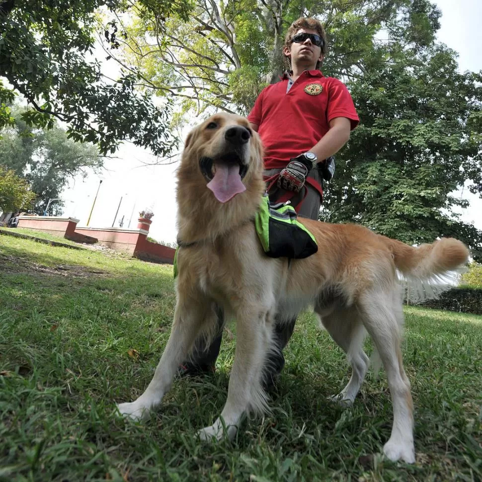 SIEMPRE LISTO. Simón, un Golden Retriever de dos años, ama las misiones difíciles. A su lado, Andrés Cuenya. LA GACETA / FOTOS DE DIEGO ARAOZ