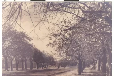 La primavera corregida