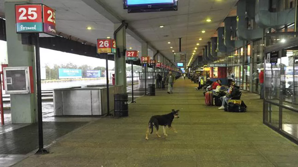 EFECTOS DEL PARO. La actividad del transporte de larga distancia es nula en todo el país. TÉLAM