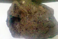 La finca santiagueña donde cayó el meteorito sería de Alperovich