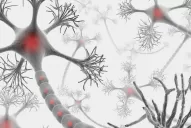 Informarán y capacitarán sobre esclerosis mútiple