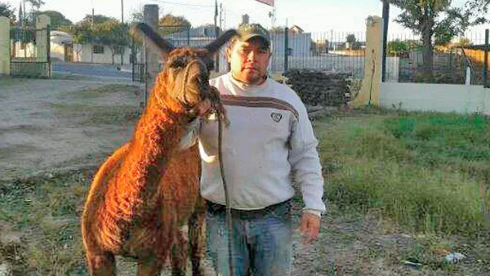 DETENIDA. La llama, en el destacamento policial. FOTO TOMADA DE ELLIBERAL.COM.AR