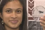 Se podrá cargar la batería del celular en 20 segundos