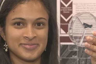 Se podrá cargar la batería del celular en 20 segundos