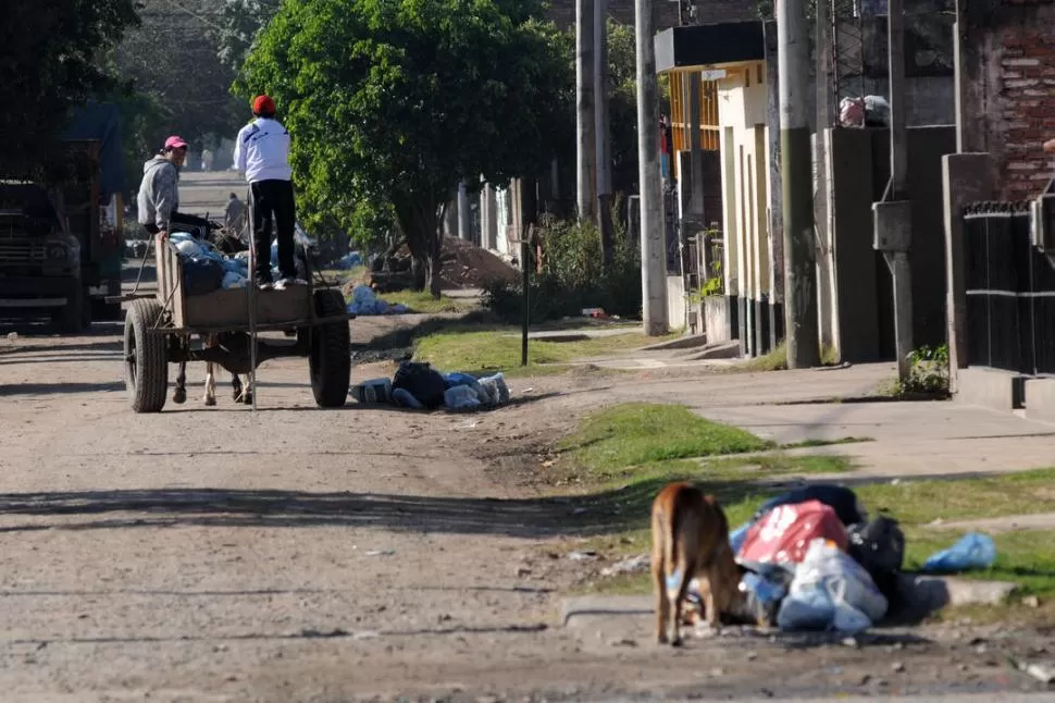 DESPARRAMO. Los perros olfatean y abren las bolsas, mientras que los carreros buscan algo para aprovechar en los montículos de cada cuadra. LA GACETA / FOTOS DE INES QUINTEROS ORIO 