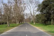 Un ciclista está grave, tras ser embestido por un colectivo