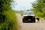 Se entregó el principal sospechoso de asesinar a dos jóvenes