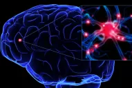 Esclerosis múltiple: hay esperanza, la discapacidad puede evitarse