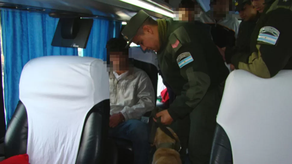 EN EL COLECTIVO. Los gendarmes hicieron subir un perro al colectivo ante los paquetes sospechosos. PRENSA GENDARMERÍA