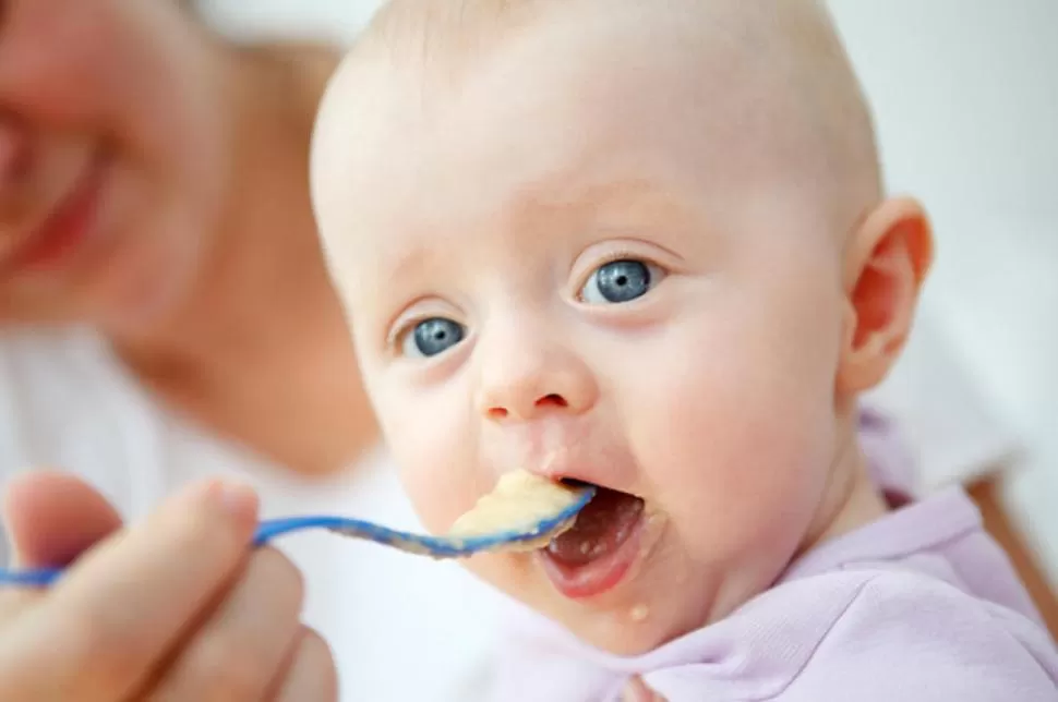 PROBANDO SABORES. Se aconseja dar papillas a los seis meses, cuando los bebés ya se sientan y son activos. SAFEFAMILIESFORCHILDREN.COM