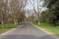 Murió el ciclista que fue embestido por un colectivo