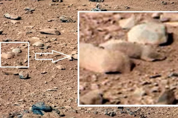 ¿El Curiosity halla una rata en Marte?