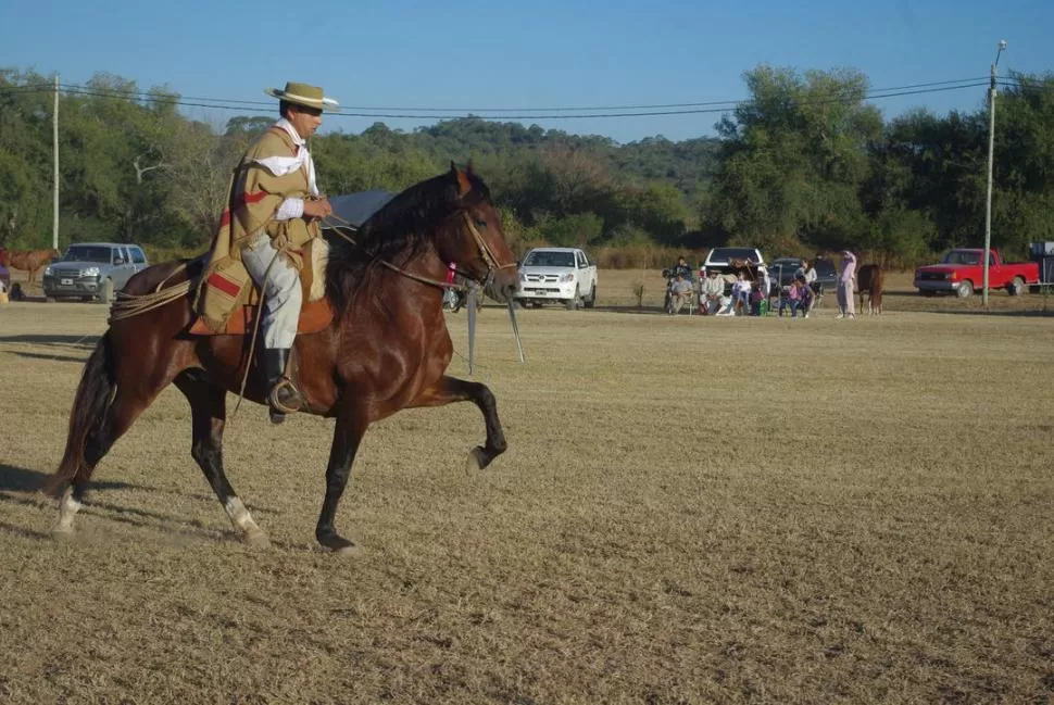 GRAN NIVEL. Smap Nito, de Marco Padilla, fue campeón del año adulto. 