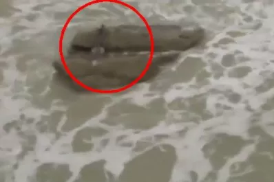 El video que capta a una supuesta sirena en Israel era falso