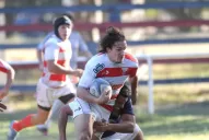 Más león que lince