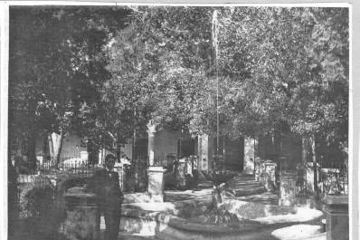 Los becarios del Colegio Nacional