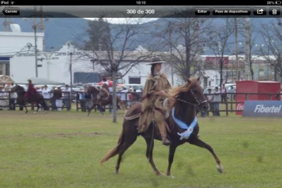 Siete tucumanos llegaron a lo más alto del podio