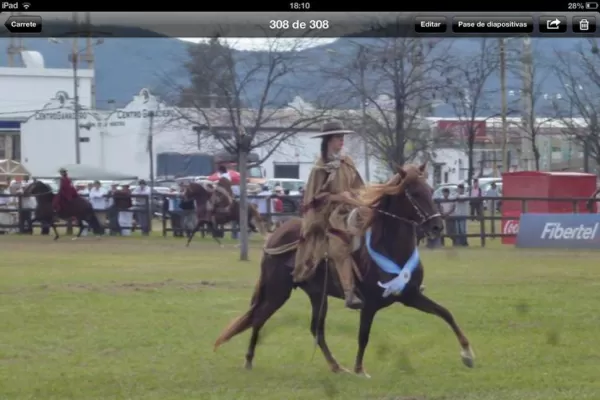 Siete tucumanos llegaron a lo más alto del podio