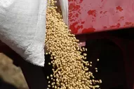 Fuerte respuesta a  la Presidenta por la soja que no se vende