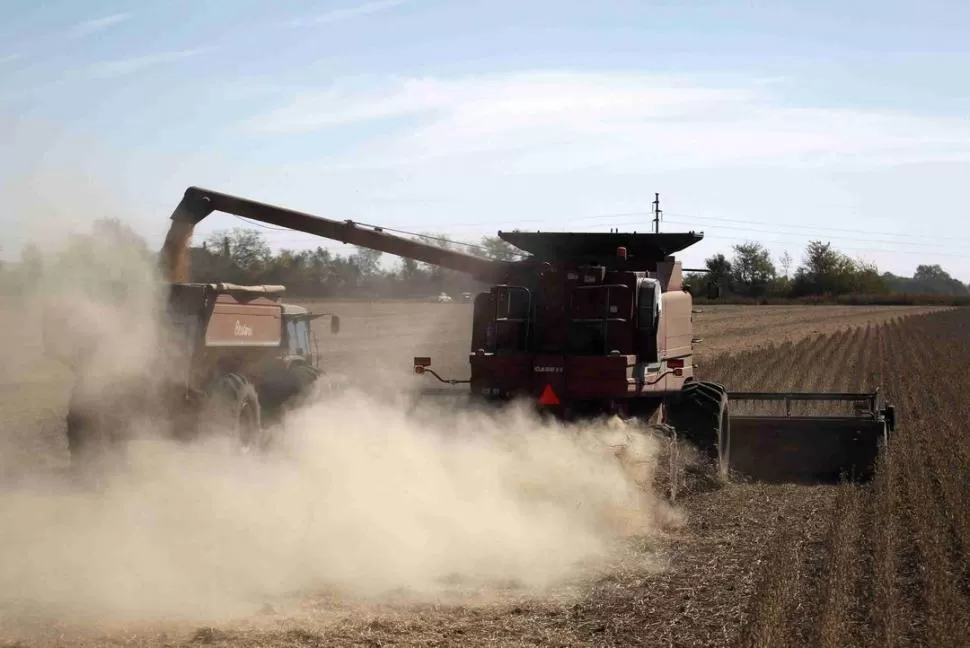 LA IMPIADOSA SEQUÍA. Los campos tucumanos sufrieron la falta de lluvia, que se tradujo en la reducción drástica de los rendimientos promedios en la soja. REUTERS