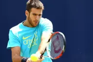 Del Potro, Mónaco y Zeballos cayeron en el ránking